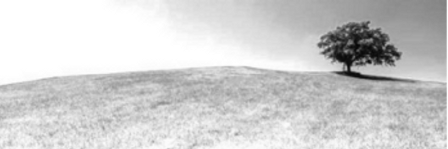 Cover image for post My Invisible Hill, by CynthiaCalder