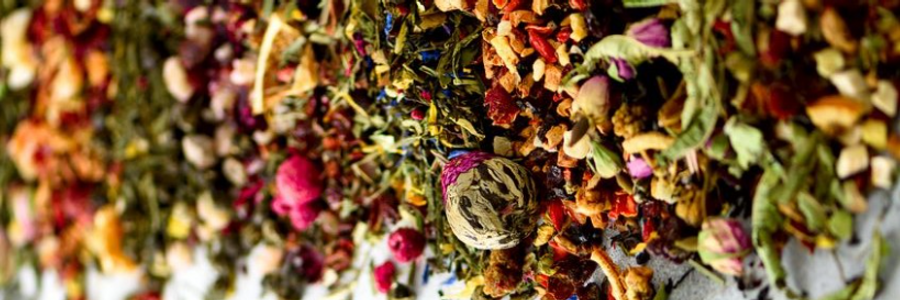 Cover image for post Matcha and Ibuprofen, by DandelionWine