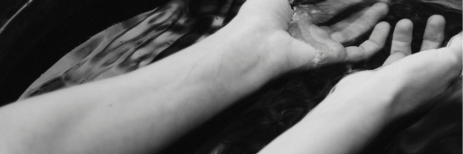 Cover image for post Teeth to Paper, by DianaHForst