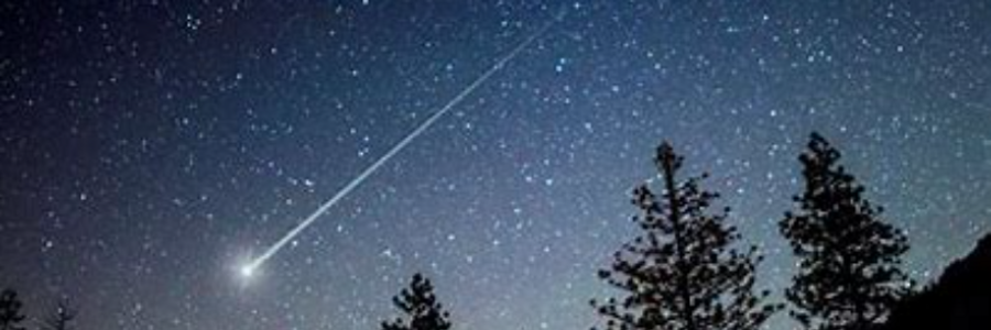 Cover image for post Golden Traveler, by DandelionWine