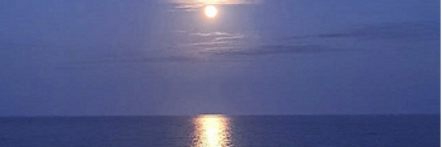 Cover image for post Quivering Moonlight, by CynthiaCalder