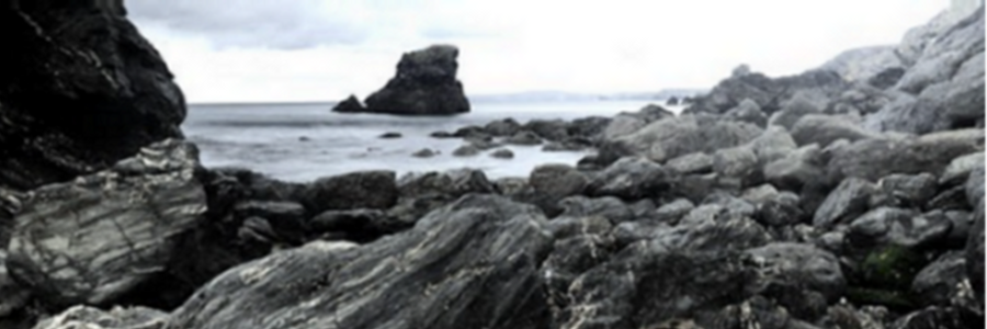 Cover image for post Jagged , by CynthiaCalder