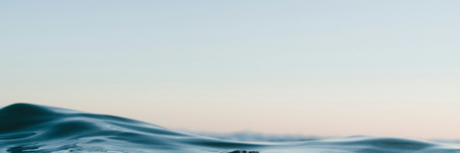 Cover image for post Empty, by JaneBronte