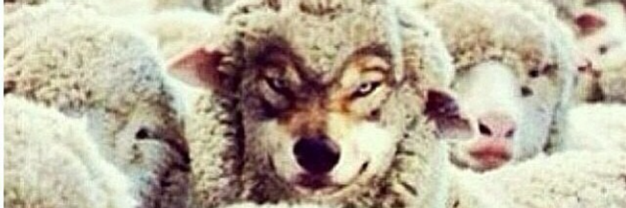 Cover image for post To Hibernate, by LARGE