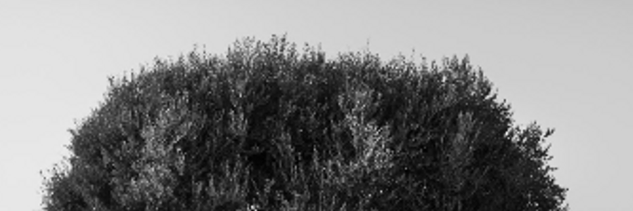 Cover image for post Blood Red Bang, by Mamba