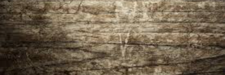 Cover image for post Last Chance, by JosephLord