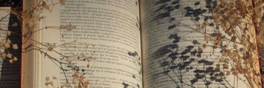 Cover image for post A Fascinating Verb , by MyraJayne