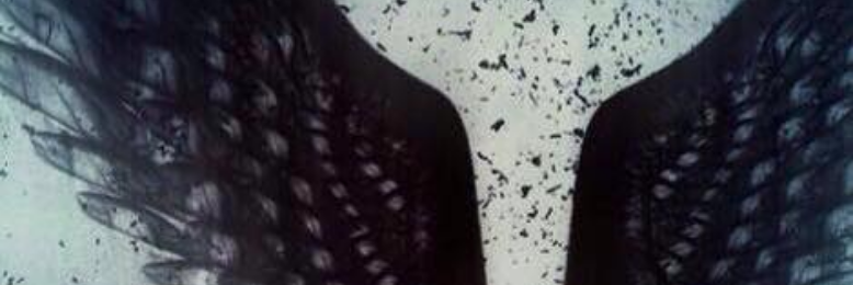 Cover image for post Untitled, by elizapearl