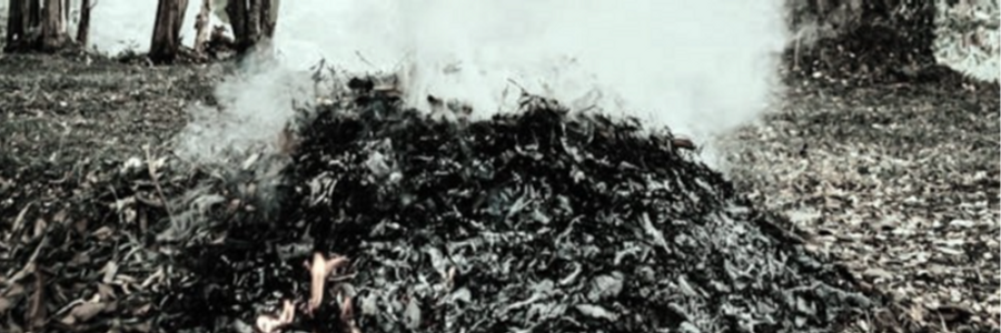 Cover image for post Fetor of Decay, by CynthiaCalder