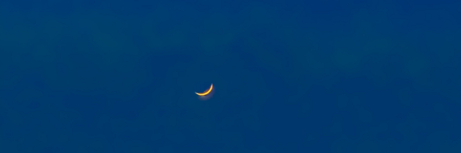 Cover image for post The Autobiography of a Fallen Star, by aelily