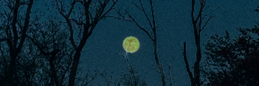 Cover image for post To You, With Love <3, by aelily