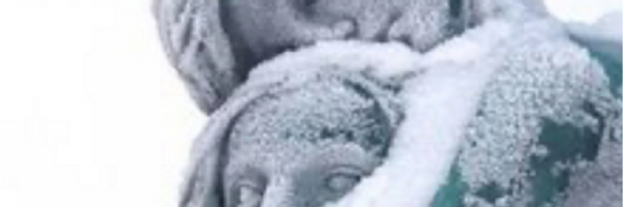 Cover image for post ’til the cows come home (a drabble), by Mariah