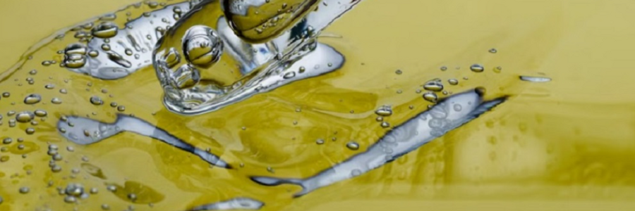 Cover image for post Sorbitol Manufacturing Plant 2024- Detailed Project Report, Setup Cost and Revenue, by syndicatedanaly