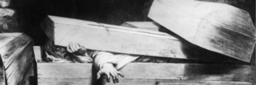 Cover image for post Silent Scream, by Bunny