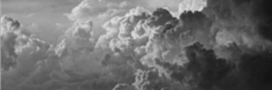 Cover image for post plead., by Vice