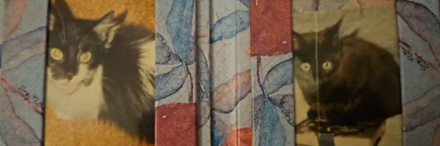 Cover image for post Untitled, by JosephLord