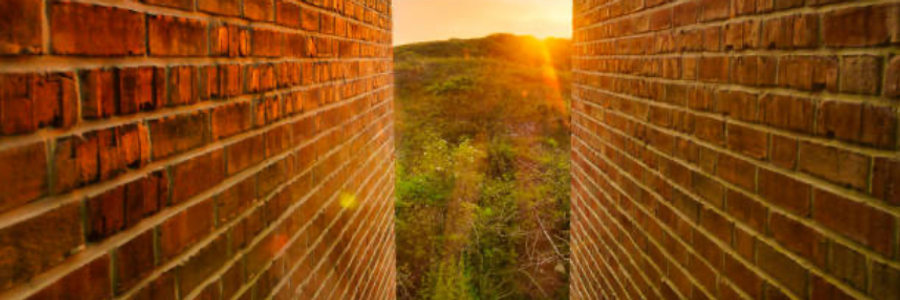 Cover image for post To Feel The Walls Closing In, by Bunny