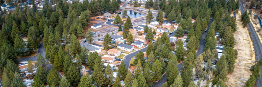 Cover image for post The Queen of Pine Haven, by pizzamind