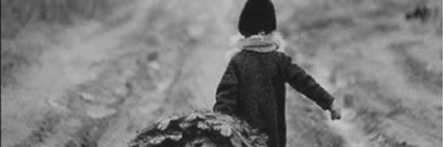 Cover image for post Recycled Hope (a drabble), by Mariah