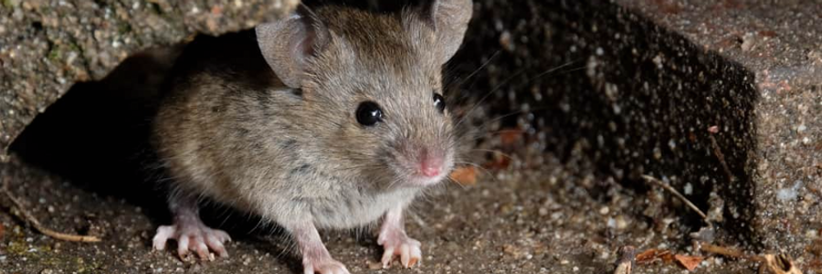 Cover image for post Inside, by AlexBeyman