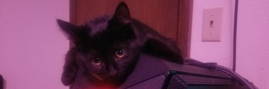 Cover image for post Cattenwaft, by AlexBeyman