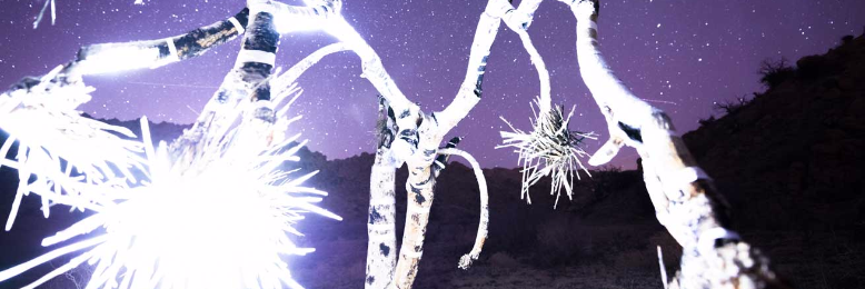 Cover image for post Silent Whispers, by sandflea68