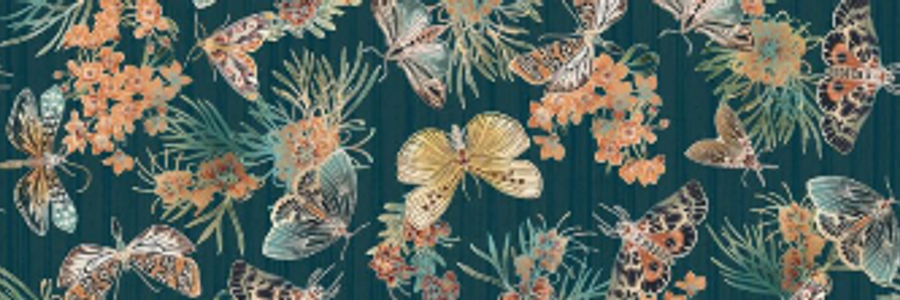 Cover image for post Polillas, by Fucsiaenpurpura