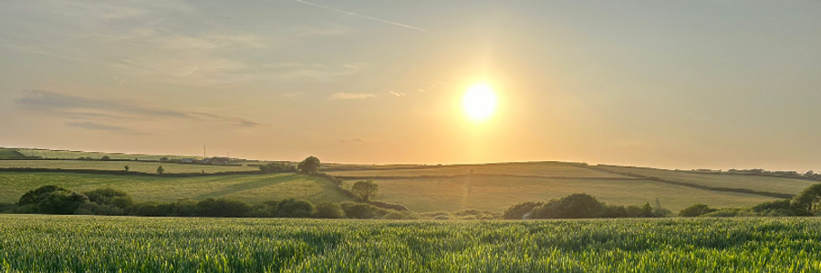 Cover image for post Promises, by EsmereldaClouds