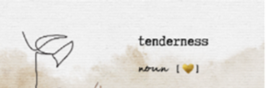 Cover image for post •°, by anarosewood