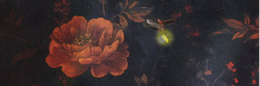 Cover image for post Reset, by J_M_Liles