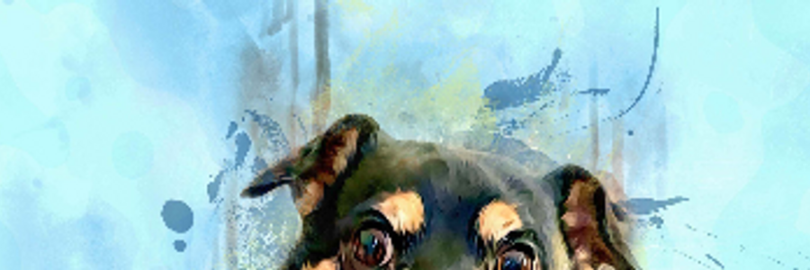 Cover image for post I Dream Above the Firmament , by VT_Poetess