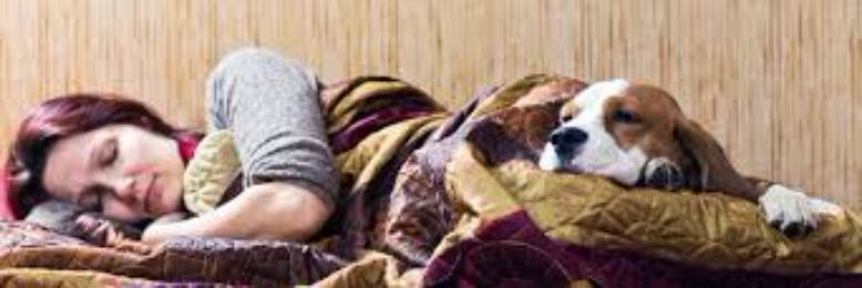 Cover image for post Double Entendre, by sandflea68