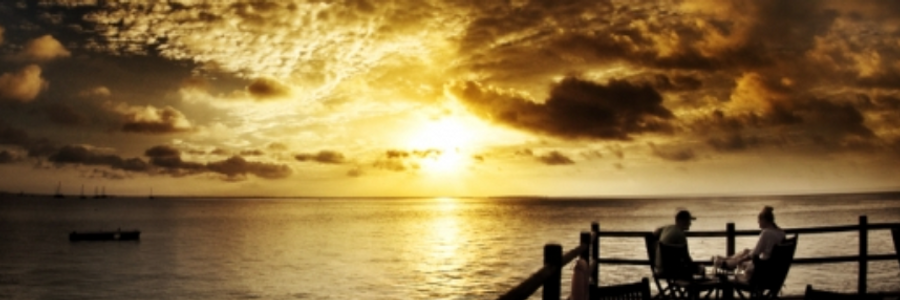 Cover image for post My Retirement Plan, by AndyBetz