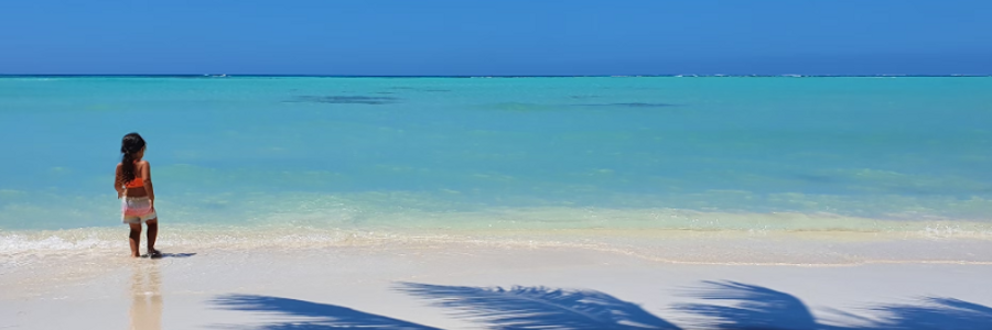 Cover image for post How Far Can I Afford To Go (A Moana Parody Song), by TaiSensei