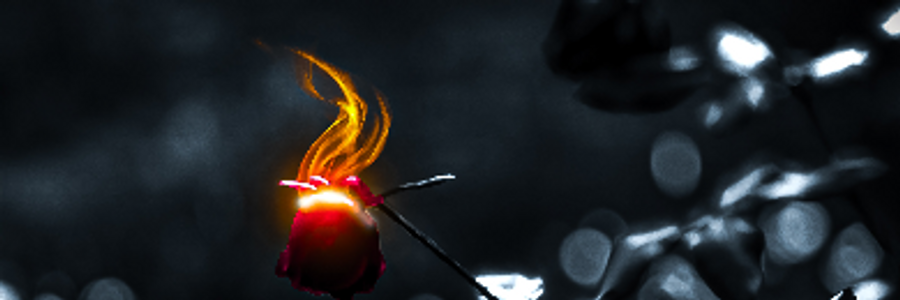 Cover image for post Let Me Smile, by WormDogg