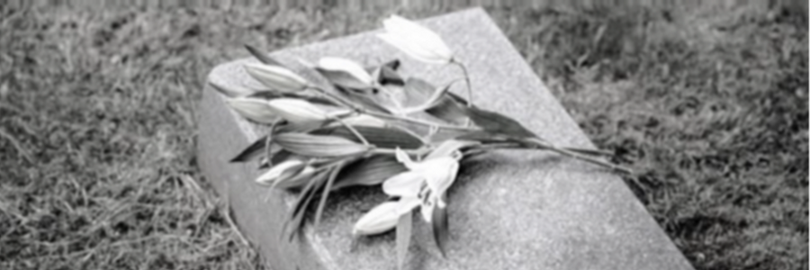 Cover image for post I'm Sorry, by CynthiaCalder