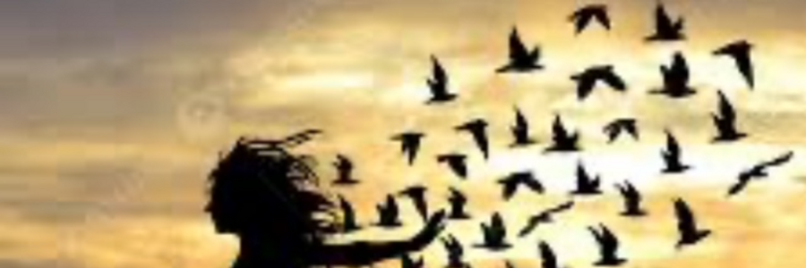 Cover image for post "Freedom", by Stacy13