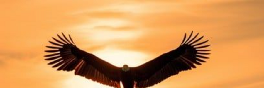 Cover image for post WHEN I WILL DIE - ALEXIS KARPOUZOS, by alexiskarpouzos