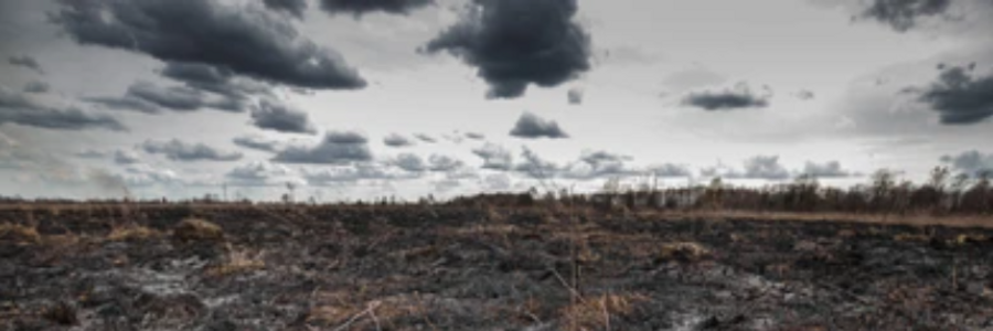 Cover image for post "When god and his angels sleep...", by LARGE