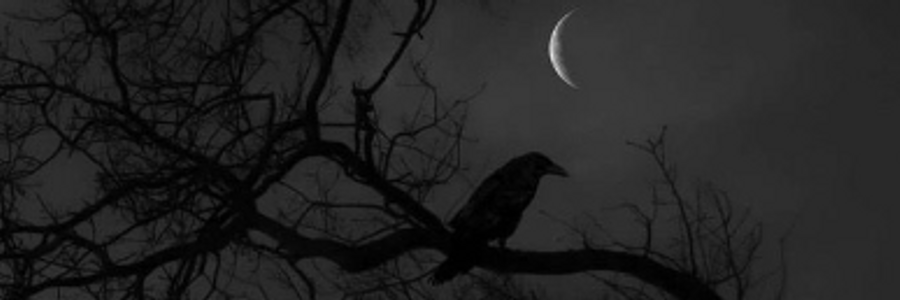 Cover image for post Portico, by Mariah