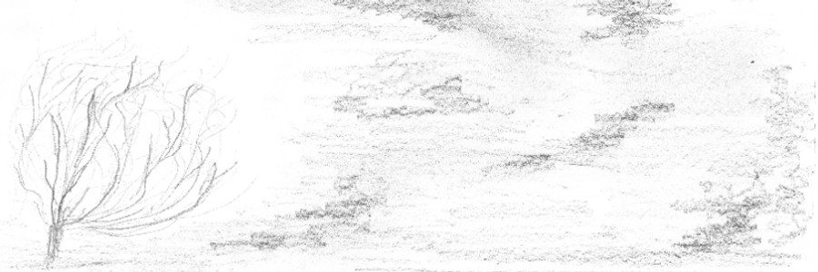 Cover image for post Words from a roadside bush, by lucetiennelab