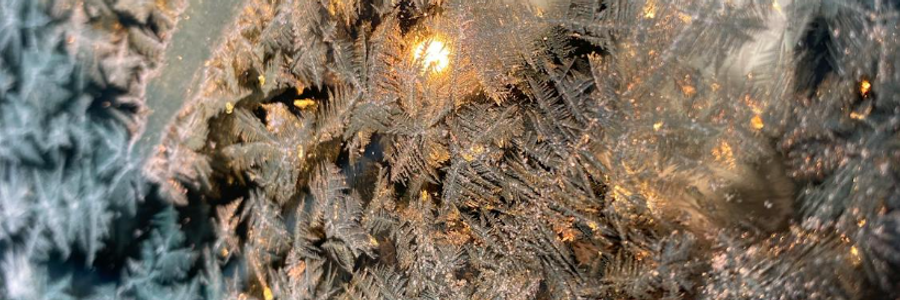 Cover image for post To Winter's end, by Last