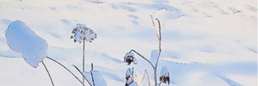 Cover image for post Church Prayer, by BilboBill