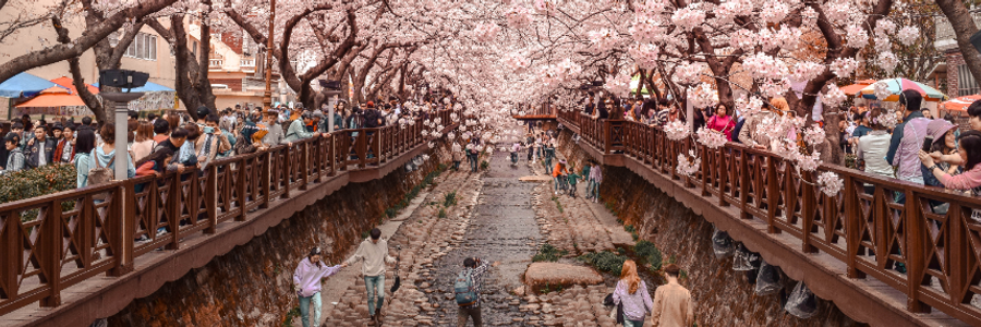 Cover image for post Day, by AndyBetz