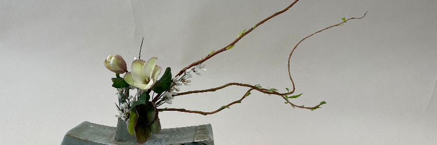 Cover image for post Hope., by Cse2003