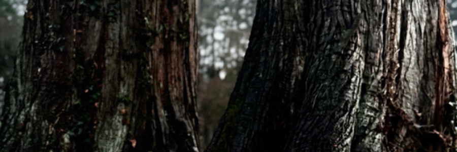 Cover image for post In the beginning , by EsmereldaClouds