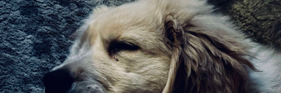 Cover image for post Atonement , by EsmereldaClouds