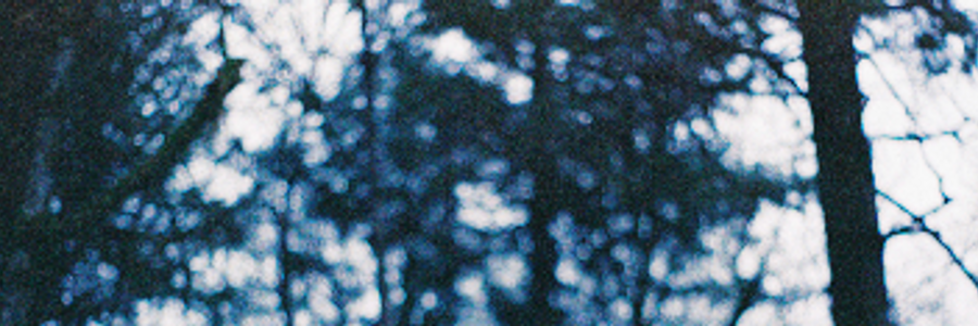 Cover image for post A whisper , by MissRosie