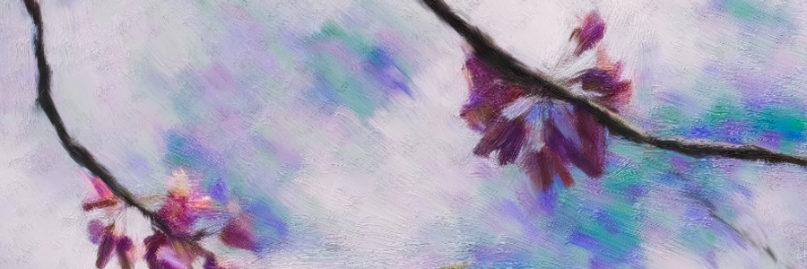 Cover image for post Nocturne, by BilboBill