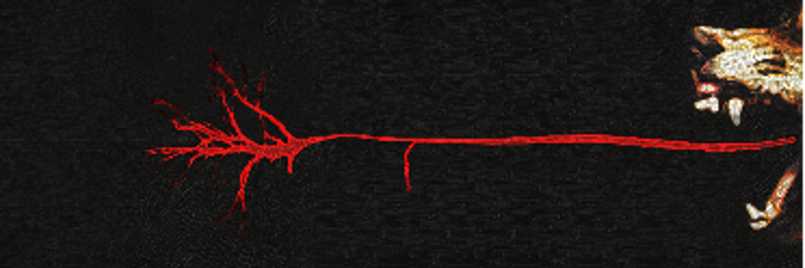 Cover image for post Wolf Like Me
, by J_M_Liles